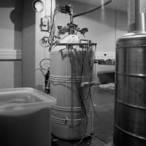 Disappearance Site NB Frederic Fourdinier 1