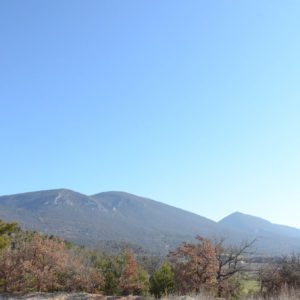 Disappearance Site Frederic Fourdinier 7