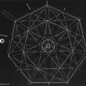 Everythinsnotforbiddeniscompulsory Frederic Fourdinier 10