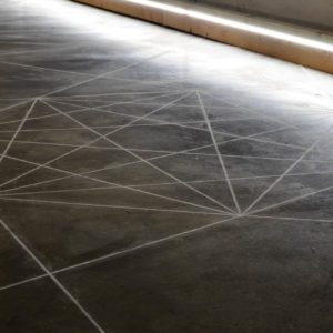 Everythinsnotforbiddeniscompulsory Frederic Fourdinier 14