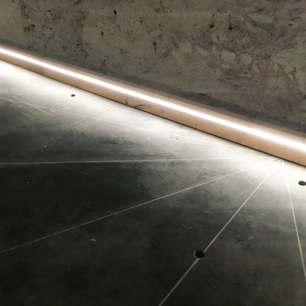 everythinsnotforbiddeniscompulsory frederic fourdinier 16