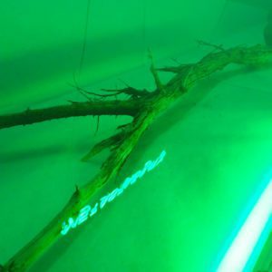 Metastability Jerada Installation Frederic Fourdinier 1