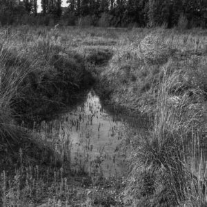 unefriche josaphat frederic fourdinier stephane jossart 4