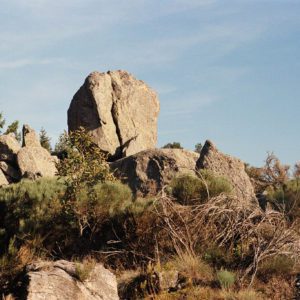 font de fraysse frederic fourdinier 1