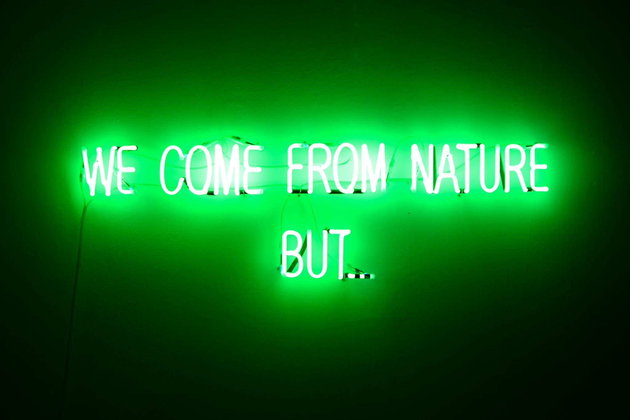 Wecomefromnaturebut Frederic Fourdinier 1